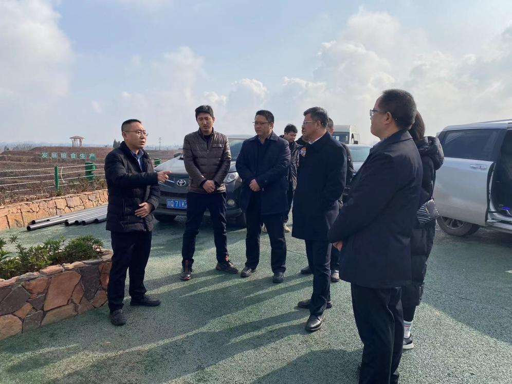 365上市公司集团赴宜宾考察酿酒粮基地