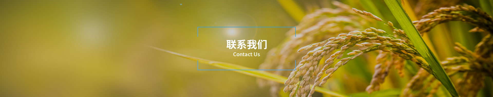 联系365上市公司