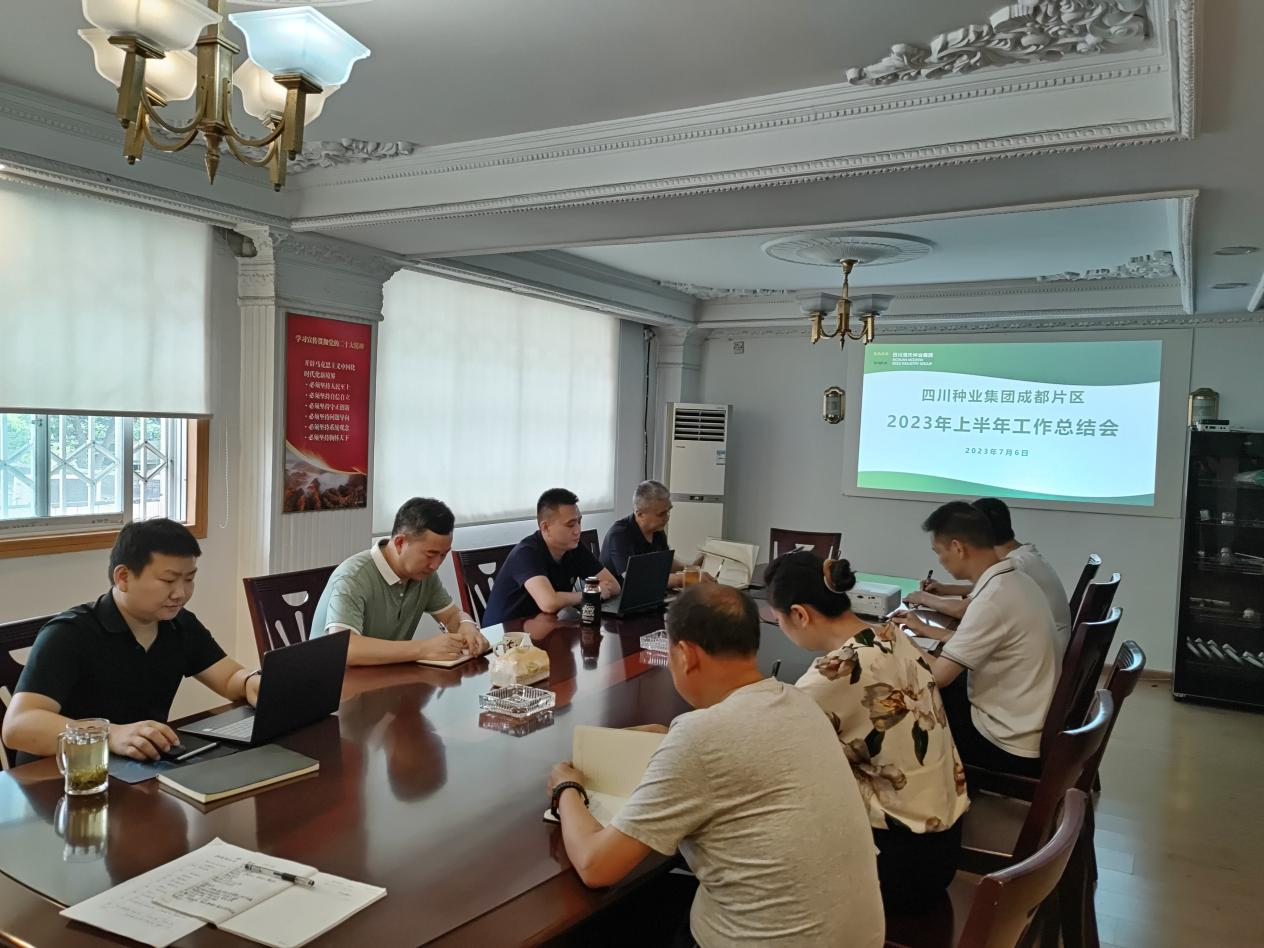 成都片区权属企业召开上半年岁情总结和下半年谋划剖析会.png