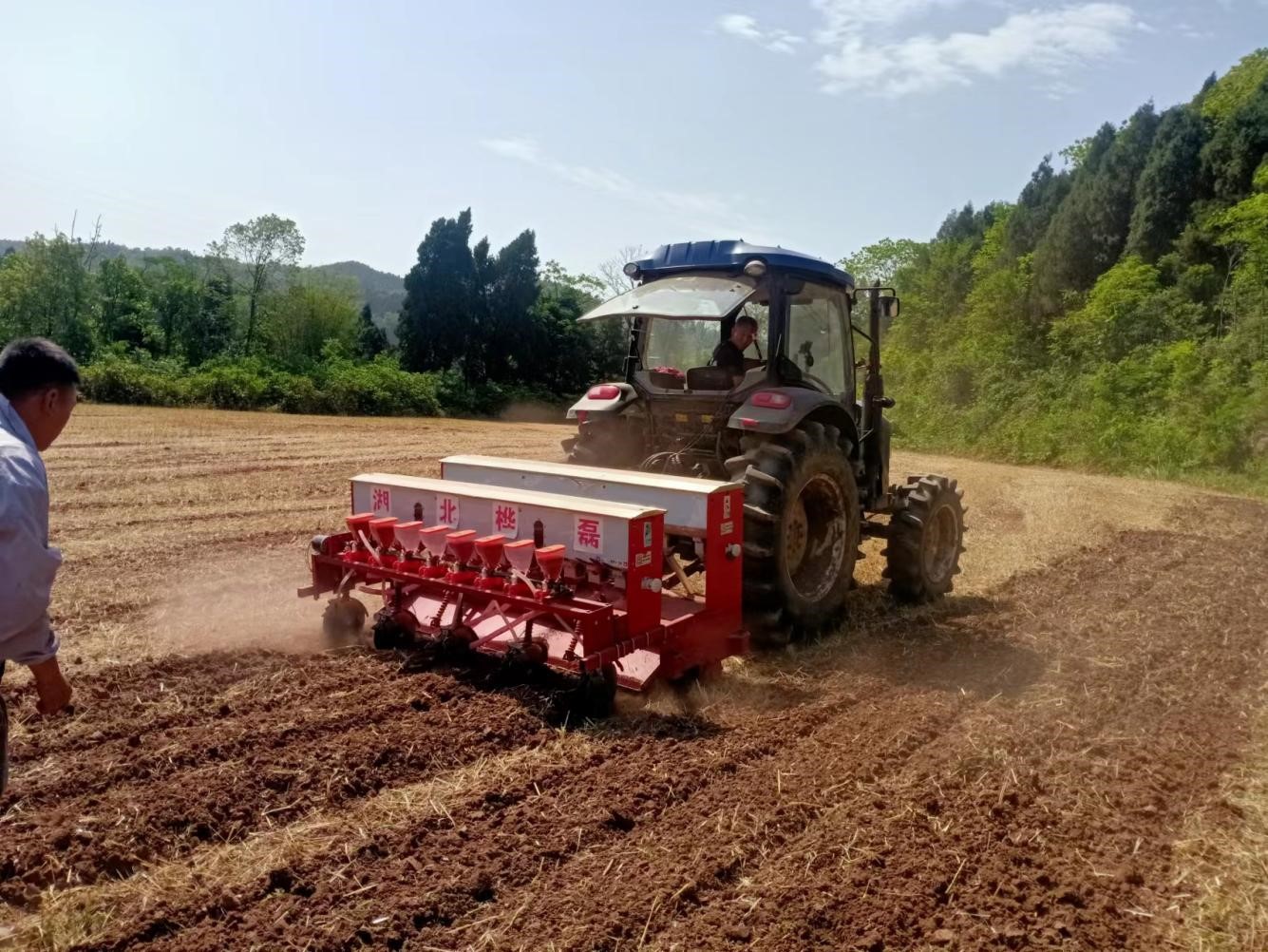春耕春播好时节 高粱水稻莳植忙
