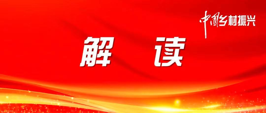 推进墟落周全振兴一直取得新效果——中央农办认真人解读2024年中央一号文件