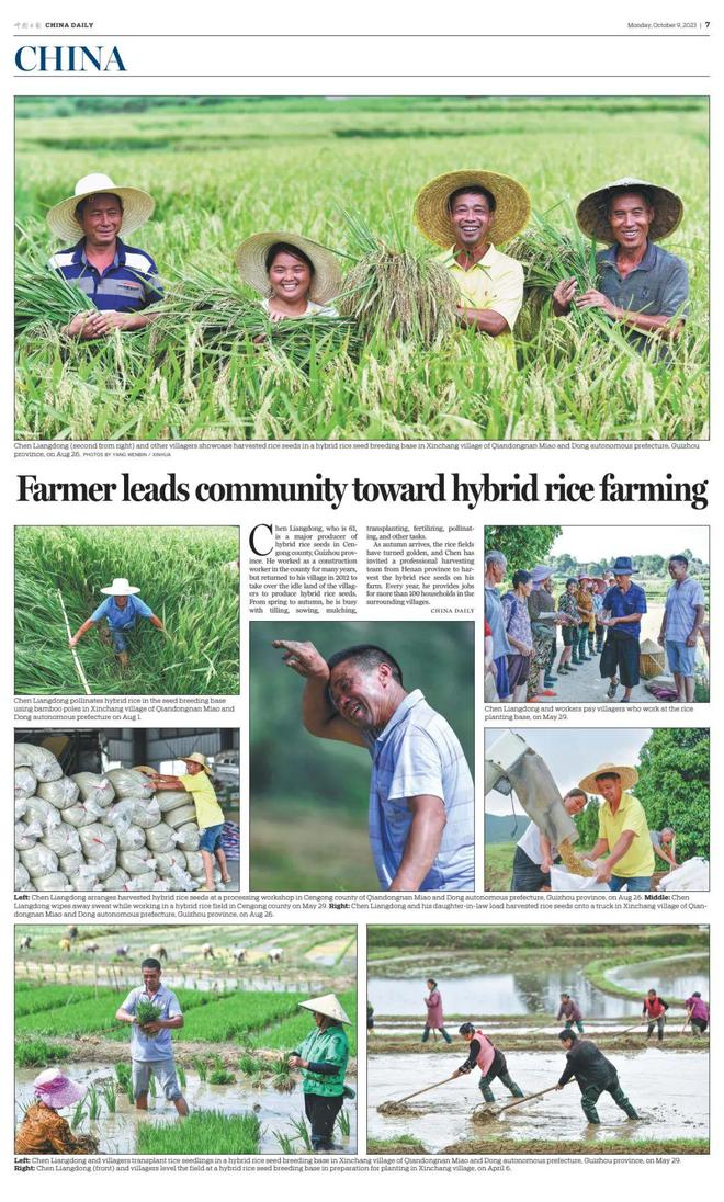 大事务｜10地持续发力种业振兴，百舸争流谁冲在前？？？12.jpg