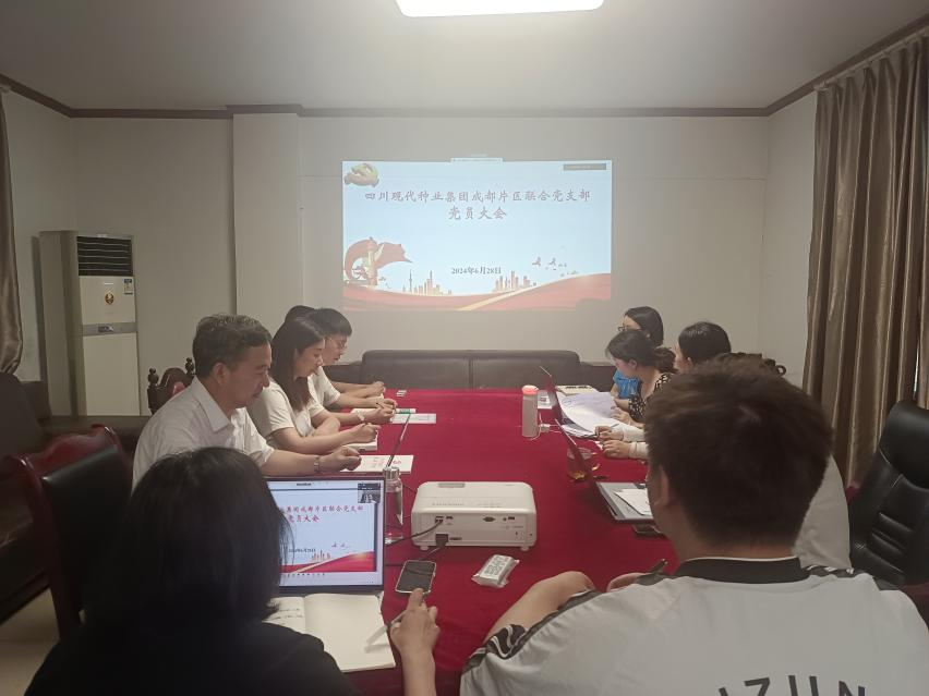 2024年6月28日365上市公司成都片区联合党支部召开党员大会专题学习贯彻省委十二届五次全会精神.png