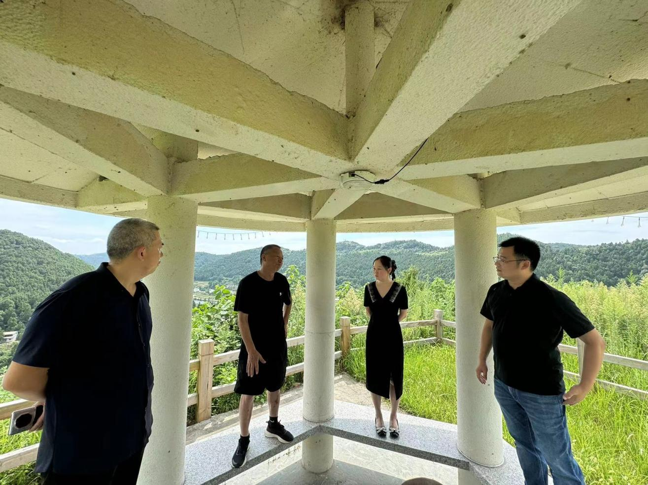 集润公司周全推进三台县三元镇彩花油菜项目