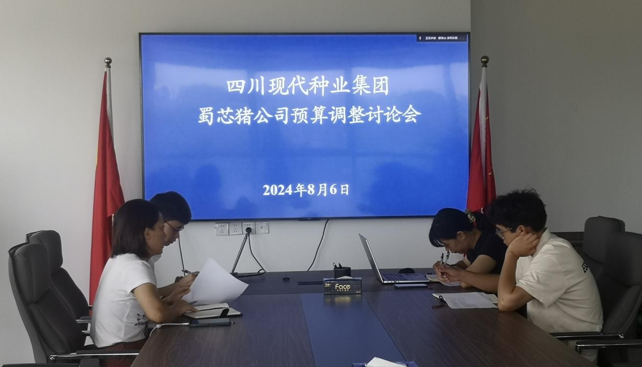集团妄想财务部召开蜀芯猪公司预算调解讨论会