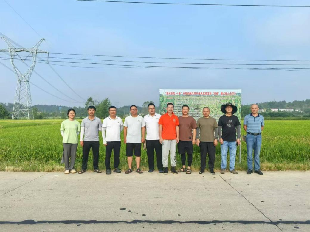 科创中心组织开展2024年四川天府科企联合体长江中下游水稻试验考察事情2.png