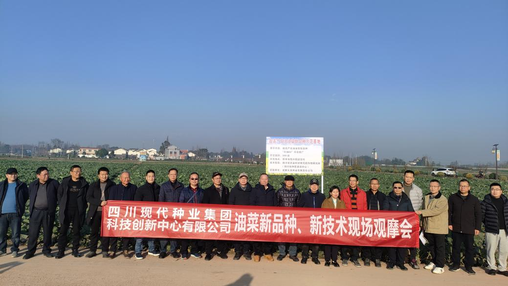 科创中心联合多家单位举行油菜新品种、、、新手艺观摩会2.png