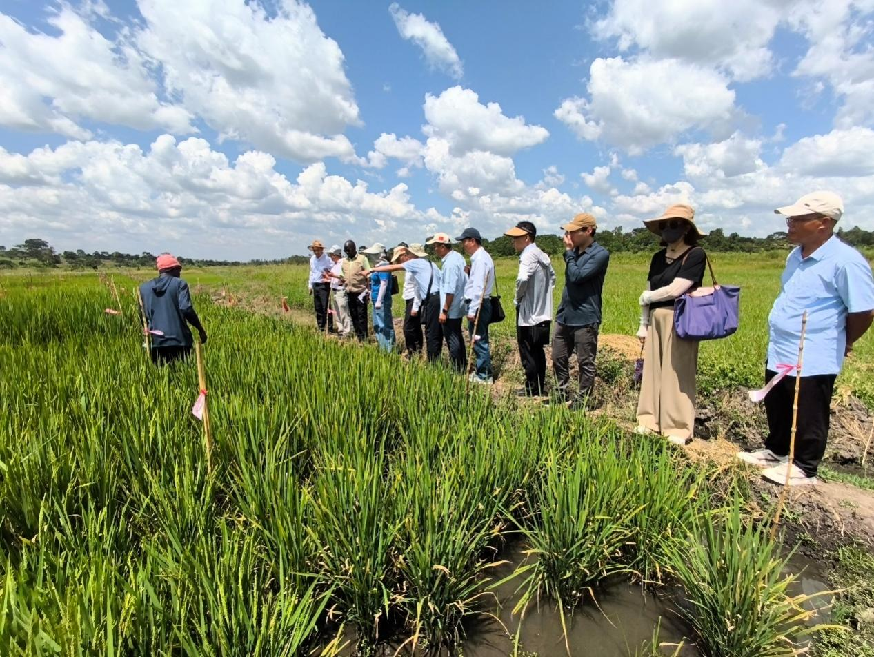 四川农业专家团考察仲衍种业乌干达试验点3.png