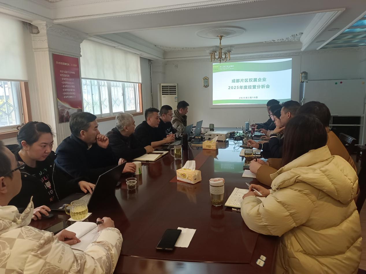 成都片区权属企业召开2025年度谋划剖析会