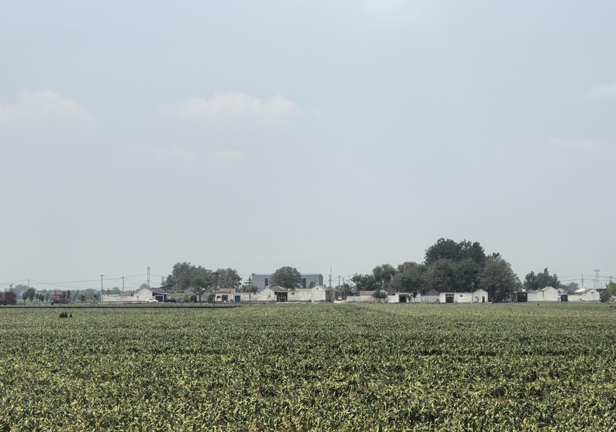 南充川北公司跨省考察蒜苔工业链 拓展营业谋开展