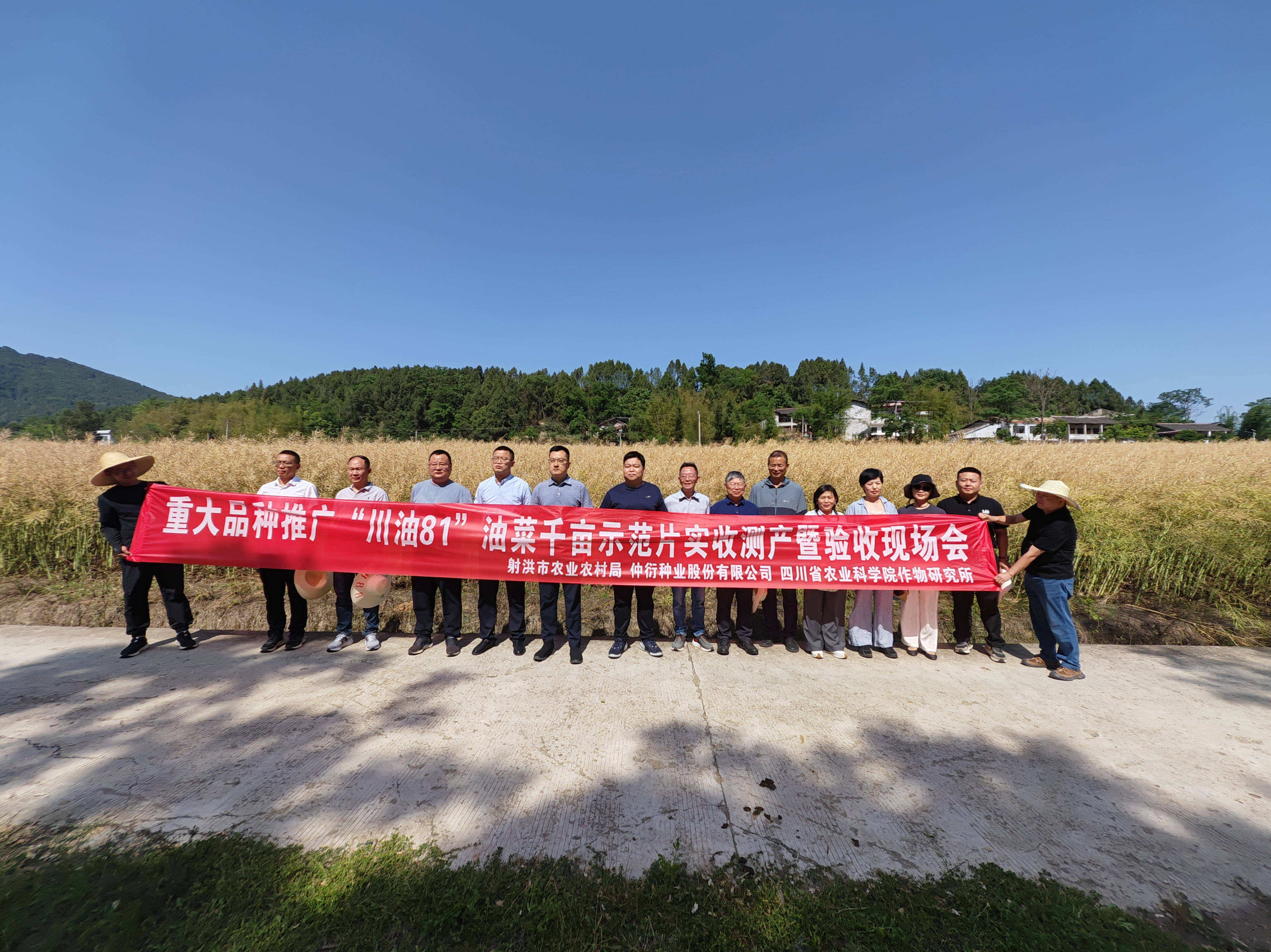 仲衍种业开展项目测产现场会，，，多个油菜品种测产体现亮眼