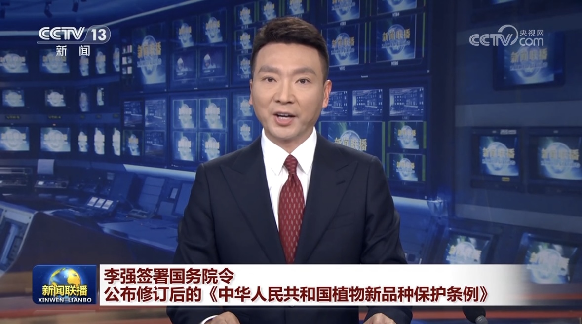农业农村部：增强植物新品种； 赋能种业立异开展