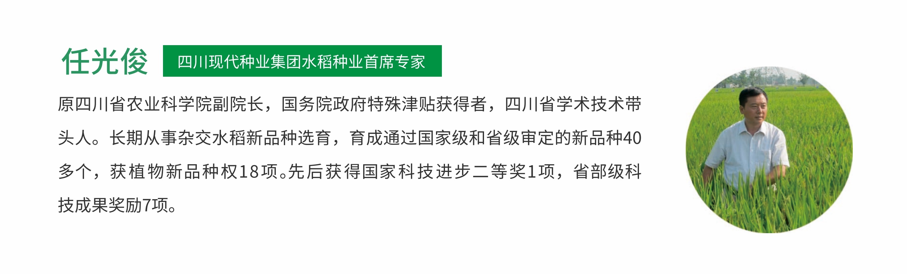 水稻专家 任.jpg