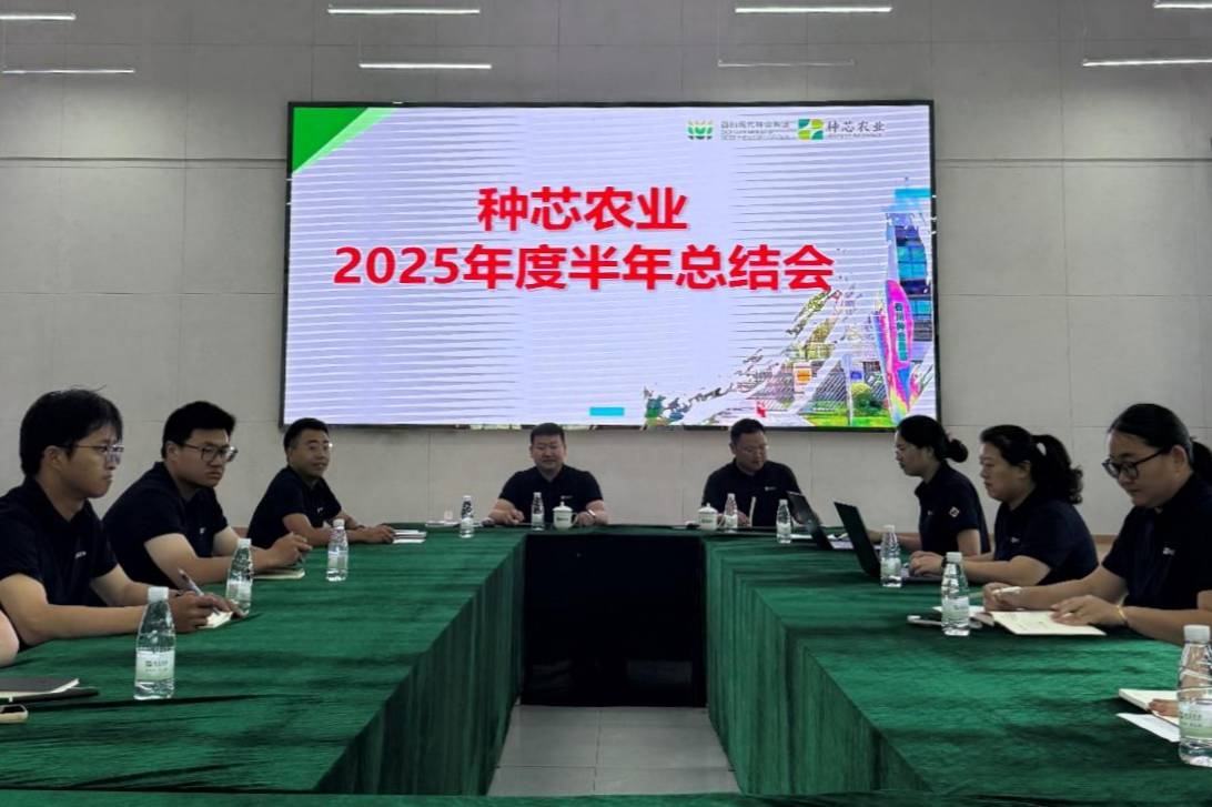 种芯农业公司召开2025年上半年谋划事情剖析会