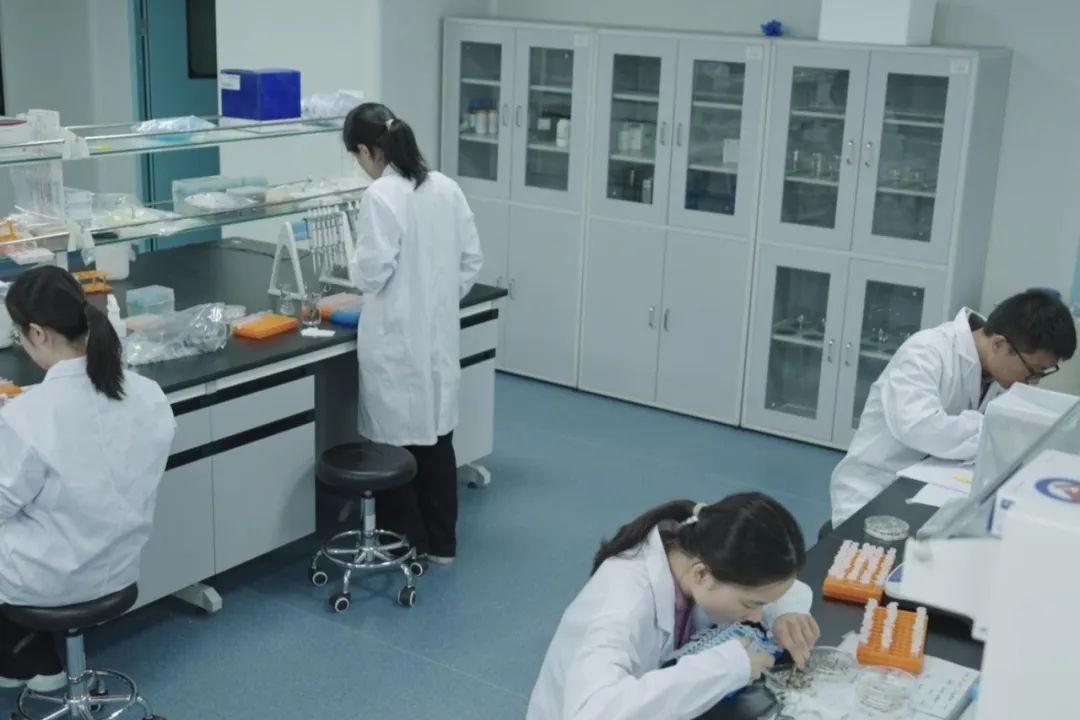 彰显种业科技硬实力！365上市公司联合共建实验室入选省重点