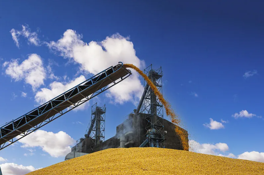 于立军在省储备粮集团调研时强调 坚决扛牢粮食清静政治责任 推动粮食储备事情再上新台阶