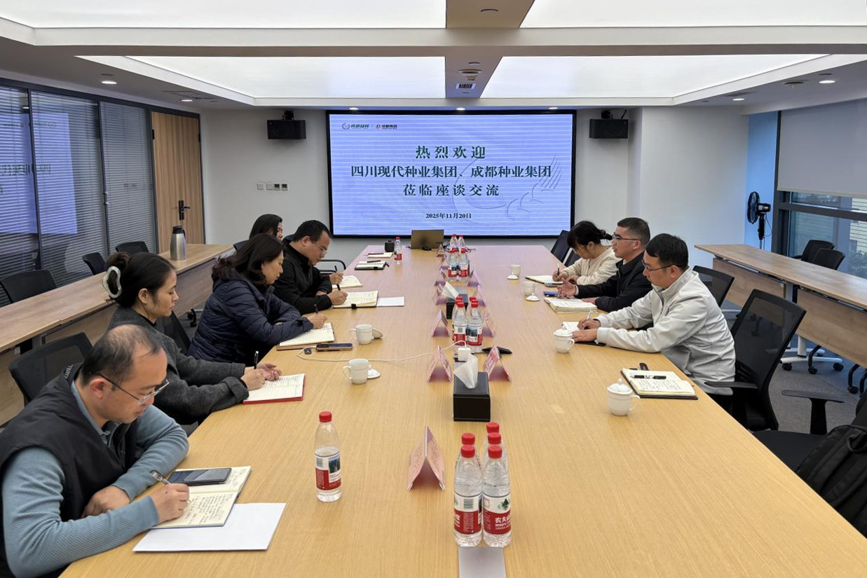 11.24蜀丰种源公司与成都粮食集团、、、成都种业集团开展相助洽谈pic.png