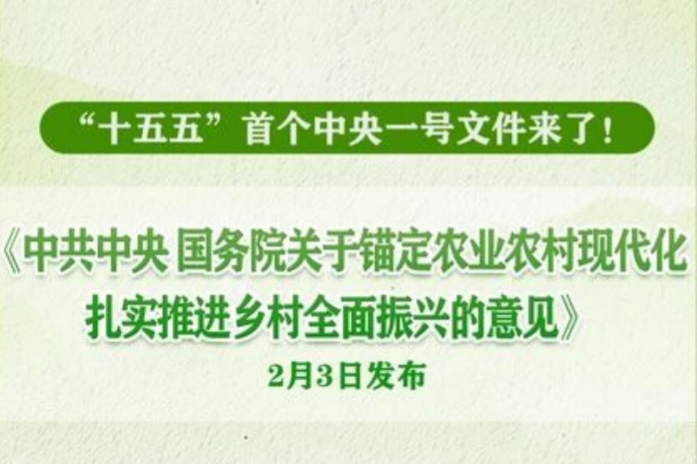2026年中央一号文件，，，宣布！！！
